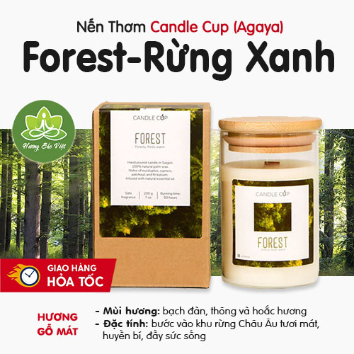 Nến thơm Agaya (Candle Cup) mùi Forest - Rừng Xanh