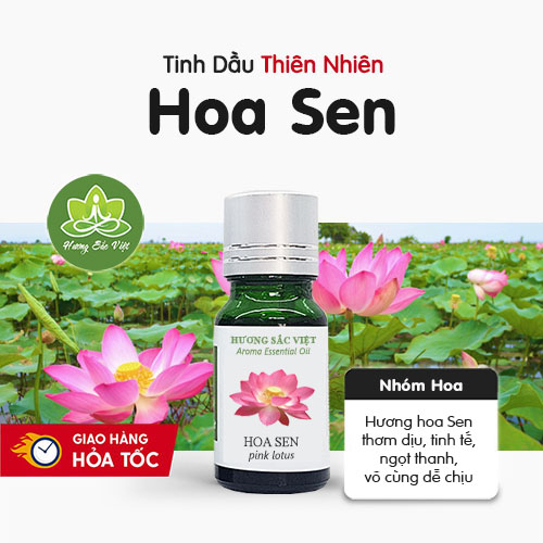 Tinh dầu hoa Sen hồng