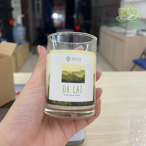 Nến thơm Agaya Cup mùi Đà Lạt, mùi gỗ thông, mùi rừng cây