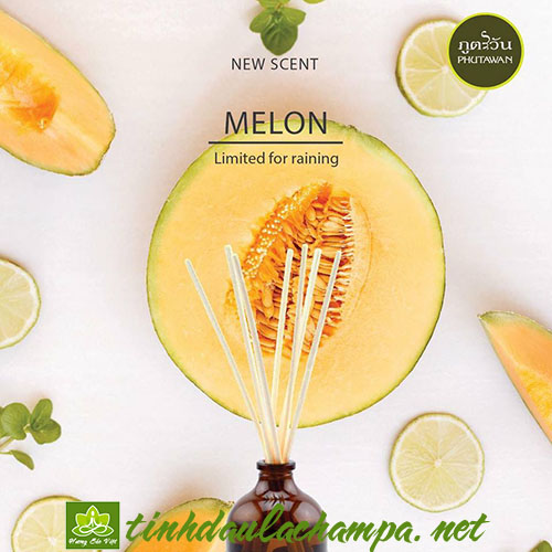 Tinh dầu que khuếch tán mùi Dưa Lưới Melon