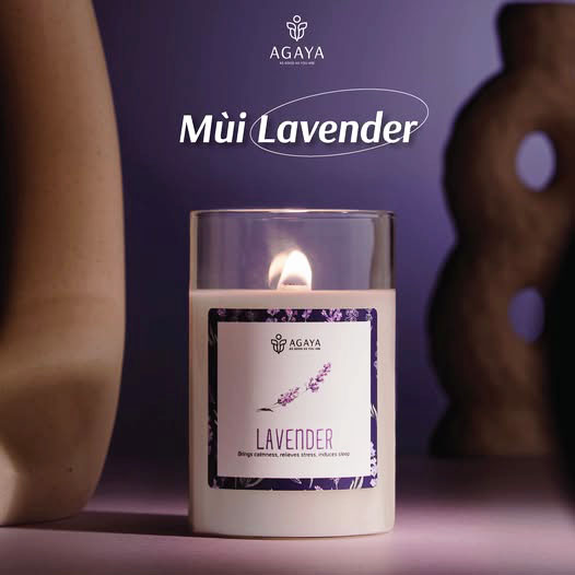 Nến thơm Agaya cup mùi hoa Lavender