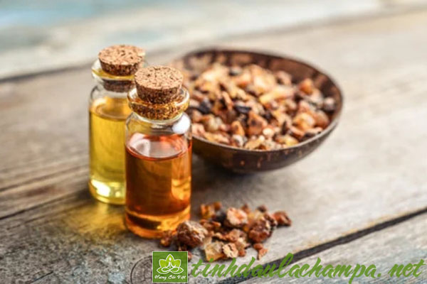 công dụng của tinh dầu Nhựa thơm Myrrh oil